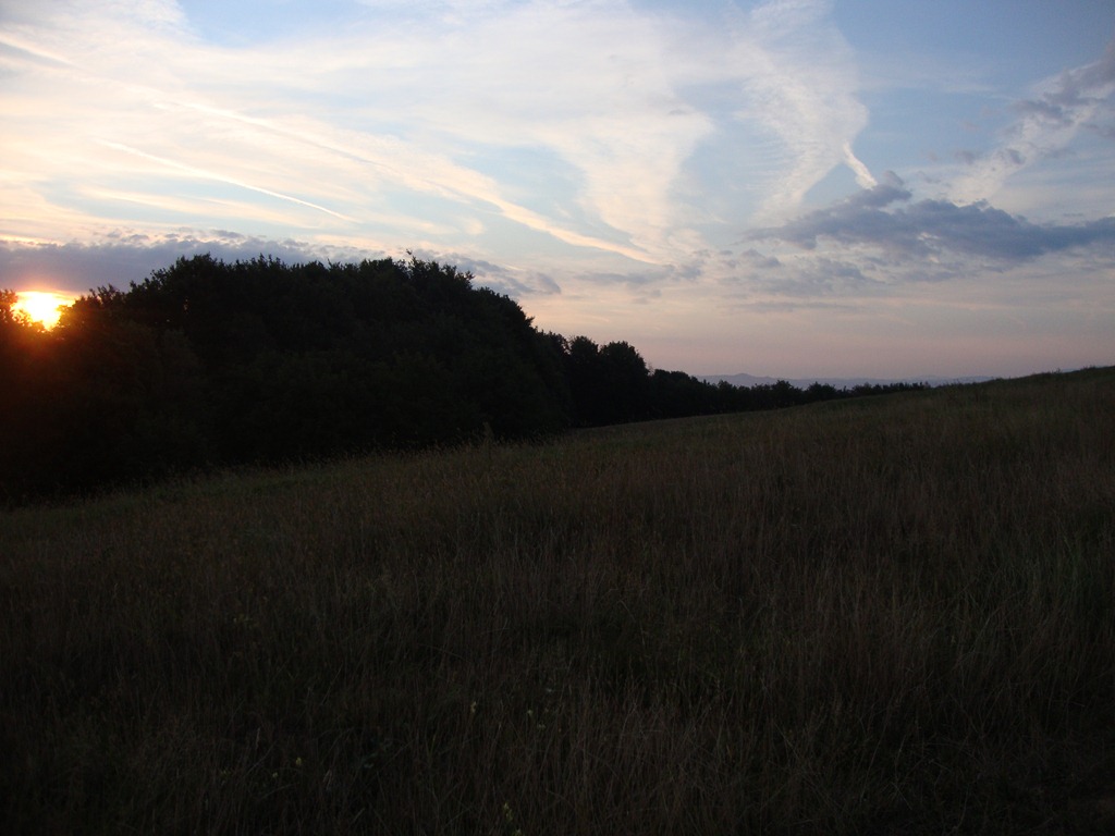 [DSC05728%255B3%255D.jpg]