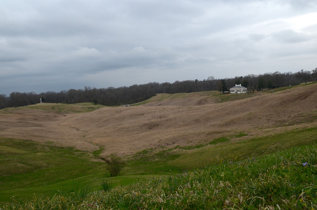 [Natchez-Trace_0834.jpg]