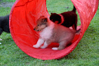 _DSC0012.JPG