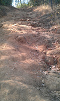 IMAG0067.jpg Photo