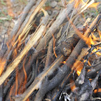 Kleines Getier wird im Feuer direkt gebraten © Foto: Marco Penzel | Outback Africa Erlebnisreisen