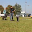 IMG_2895.JPG