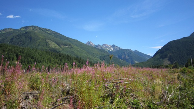 [IMG_52503.jpg]
