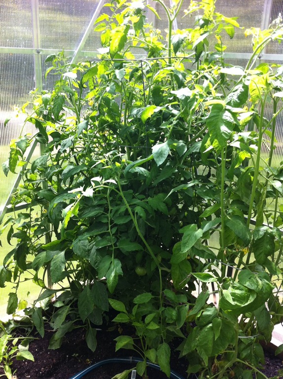 [photo%2520%252815%2529%255B3%255D.jpg]