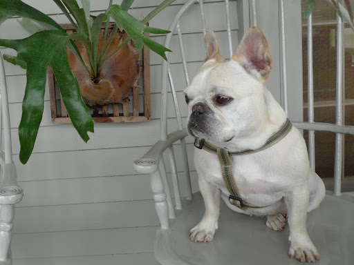 G.K., would you take a walk down to the headhouse and find Shaun?  Please get a full report of any plants that have not been returned to their rightful position.  We'll meet you down there in a few minutes.