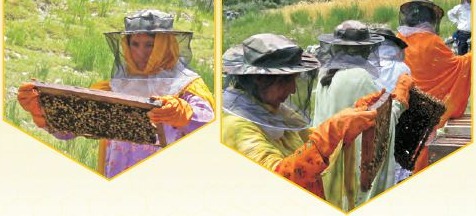 [Plan%2520Bee%2520page%25203%255B57%255D.jpg]