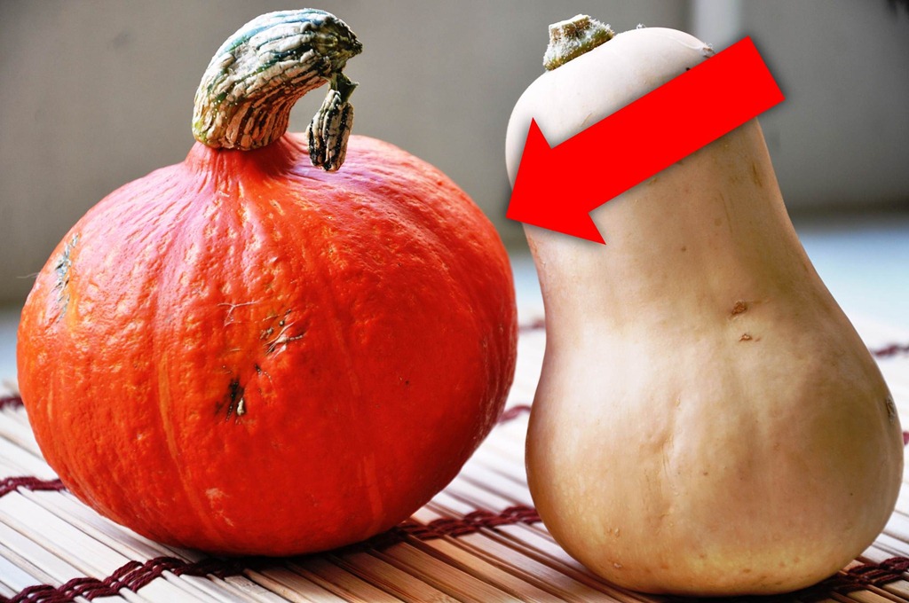 [Bild1%255B2%255D.jpg]