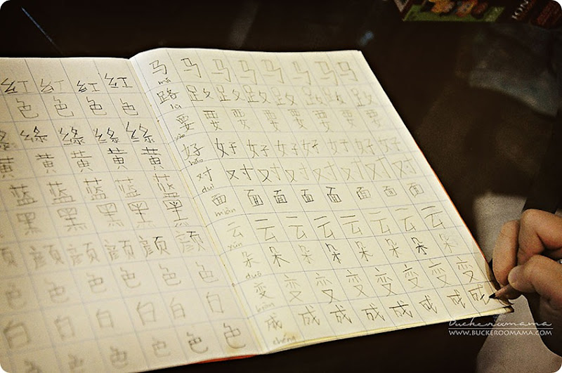 Chinese Chinese