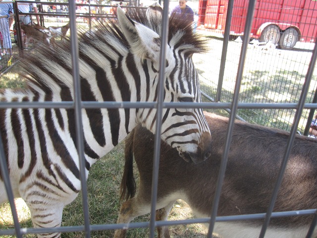 [IMG_7931%255B2%255D.jpg]