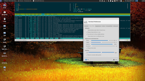 XFCE4 Terminal 0.6.1 con la finestra a discesa