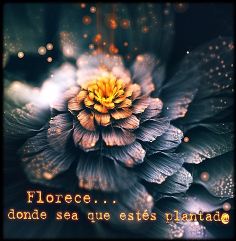 florecer