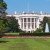white_house_back-50x50 white_house_back-50x50