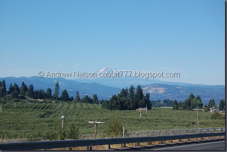 DSC_0976 DSC_0976