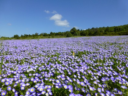 [P1030137%255B7%255D.jpg]