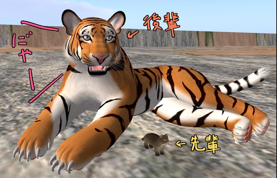 [tiger4%255B3%255D.jpg]