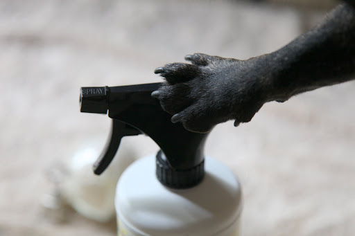 Let's spray it down