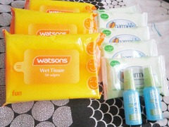 watsons wet tissue, charmee, holy seat, bitsandtreats