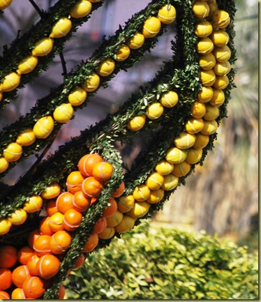 Menton - prepaing for Lemon Festival 3