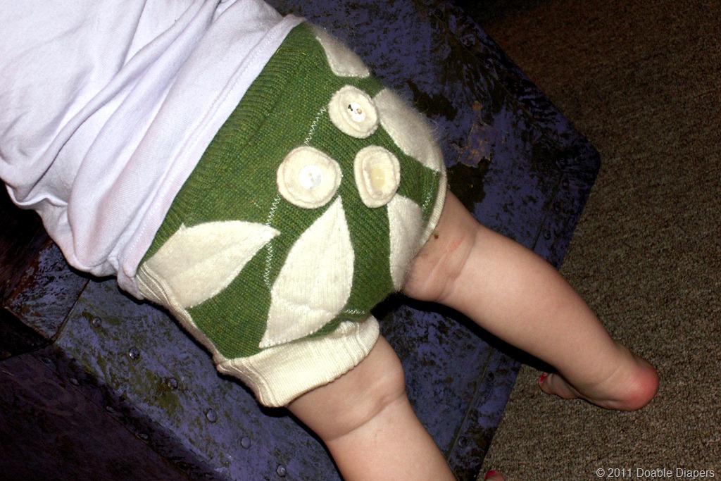 [Elaine%2520and%2520wool%2520soaker%255B8%255D.jpg]