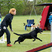 DSC00822.JPG