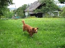 IMG_2773.JPG