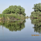 IMG_7599.JPG