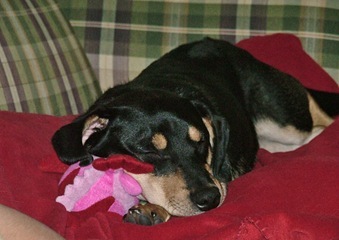 nap time nap time