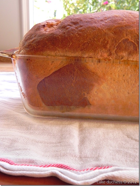 chocolate-marbled-brioche-loaf-9 chocolate-marbled-brioche-loaf-9