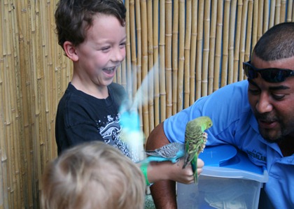 IMG_4705 IMG_4705
