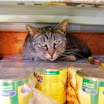 Luoghi strani per dormire1.jpg