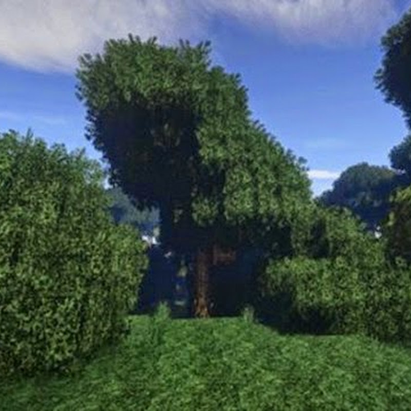 Minecrafts „Better Foliage“ Mod bringt jeden PC zum Glühen
