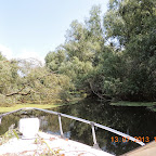 DSCN2966.JPG