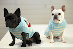 And get a load of this great look!  It's called Striped Sweater with Pom-Poms!