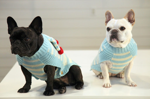And get a load of this great look!  It's called Striped Sweater with Pom-Poms!