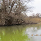 IMG_1299.JPG