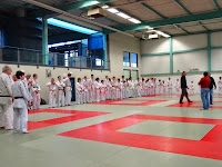judo-adapte-coupe67-735.JPG