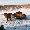 PICT0150.JPG