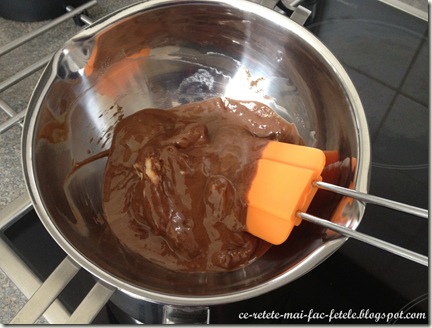 Chec Tandreţe de Ciocolată - topim ciocolata