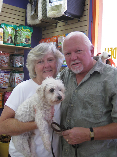 A local semi-retired couple wanted to meet the recovering pooch- Snowball seemed like just the pooch they were looking for- and they had lots of love to give! A local semi-retired couple wanted to meet the recovering pooch- Snowball seemed like just the pooch they were looking for- and they had lots of love to give!