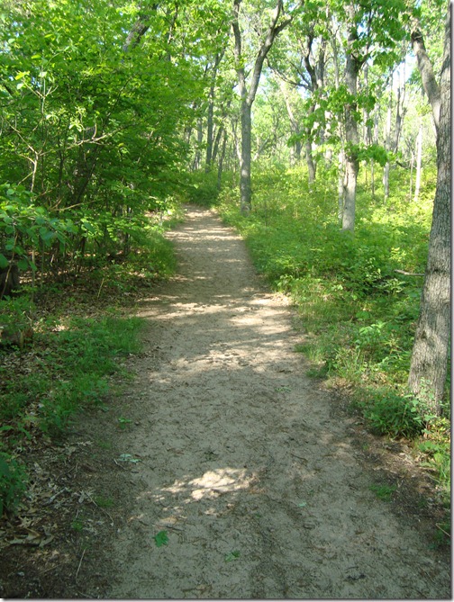 DSC00697