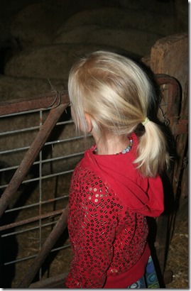 IMG_4612 IMG_4612