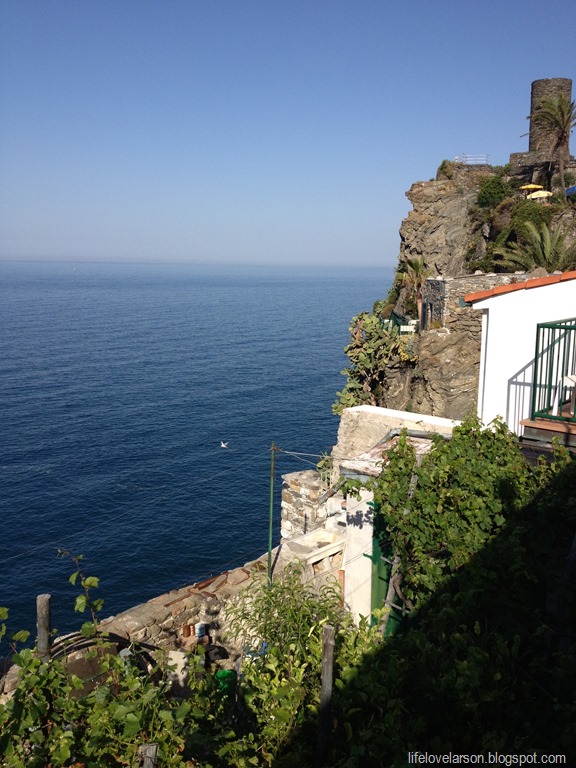 [IMG_4830%255B5%255D.jpg]