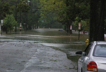 Central Ave in Rahway