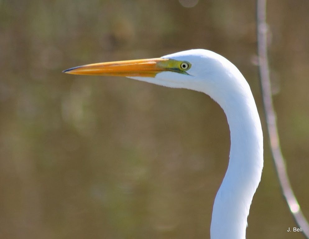 [IMG_5096%255B3%255D.jpg]