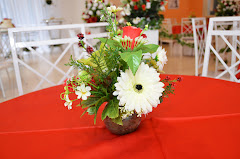 Fotos do evento Ueliton e Estela Bodas de Pérola. Foto numero 5 de RMD Producoes, do Rio de Janeiro, RJ, que faz fotos de criancas, fotos de aniversarios, albuns de fotos, fotos para capas, videos infantis, videos de aniversario e videos de 15 anos.