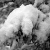 _MG_0033.jpg
