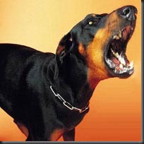 SprBS-Dog SprBS-Dog