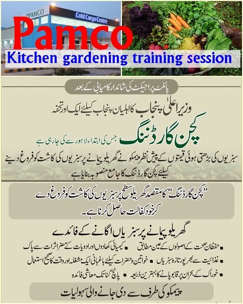 Pamco holds kitchen gardening training sessionI agrinfobank.com