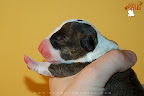 Boy 4 - day 1
