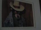 And Cocoa was quite a character. She is missed each and every day.